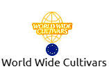 WWC