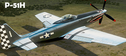 WOW P51H
