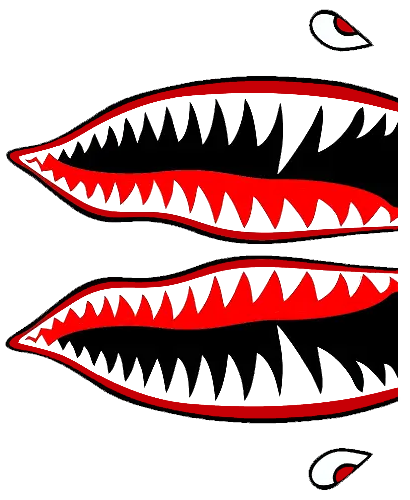 Shark Teeth 4