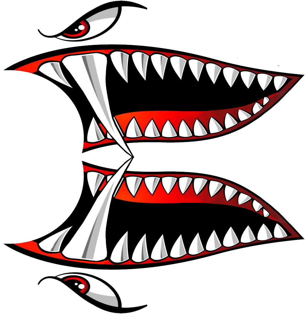 Shark Teeth 5a