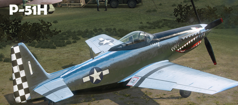 WOW P51H