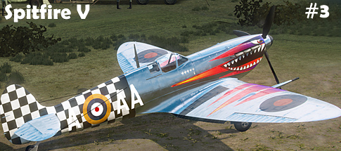 Spitfire V #3